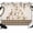 Brown Beige, variant on 7x5ft Photo Backdrop, Farmhouse Animals Soft Polyester Backdrop Curtains Photography Backdrops, Forest Eucalyptus Deer Bear Hedgehog Brushed Background for Photoshoots Studio Video Portrait Parties