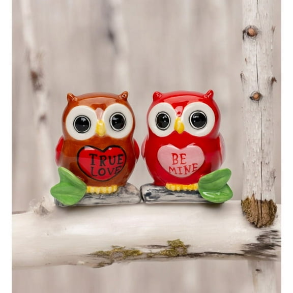 Ceramic Valentine Owl Salt and Pepper Shakers 2.25in