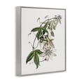 thumbnail image 2 of Stupell Industries Shabby Chic Vintage Lily Plant Gray Framed Giclee Art, 16 x 20, by CAD Designs, 2 of 7