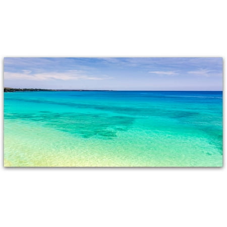Trademark Fine Art 'Blue Hawaii' Canvas Art by Pierre Leclerc