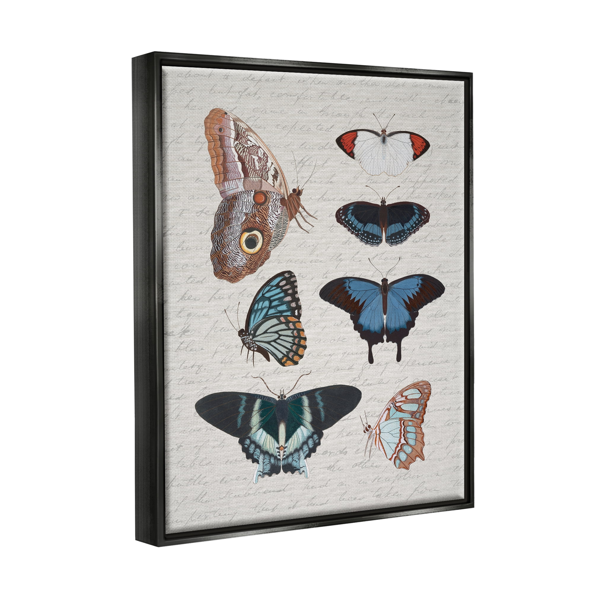 Stupell Industries Various Vintage Butterflies Animals & Insects Painting Black Floater Framed Canvas Art Print Wall Art, 25 x 31