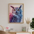 thumbnail image 6 of Diamond Art Kits for Adults - Colorful Owl Art Portrait Background 5d Diamond Painting for Adults, Diamond Art for Adults Beginners, Frameless Diamond Painting Kits for Adults for Home Wall Decor, 6 of 7