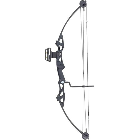 Southland Archery Supply Siege 55 lb 29 Compound Bow Target
