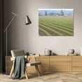 thumbnail image 3 of Dana Styber 18x13 Gallery Wrapped Canvas Wall Art Titled - Graceful Greens II, 3 of 4