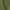 Military Green, variant on England Shirt England National Patriotic Shirt England DNA Shirt England National Shirt English Gift