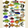 thumbnail image 3 of CafePress - Tropical Fish ~ Light T Shirt - Men's Classic Graphic T-Shirt, 3 of 4