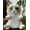 B, variant on EARKITY Resin Cat Statue Ornaments for Home Decor and Gift Ideas - Adorable Collection with 8 Different Breeds - Quality Craftsmanship,Home Decor Collection