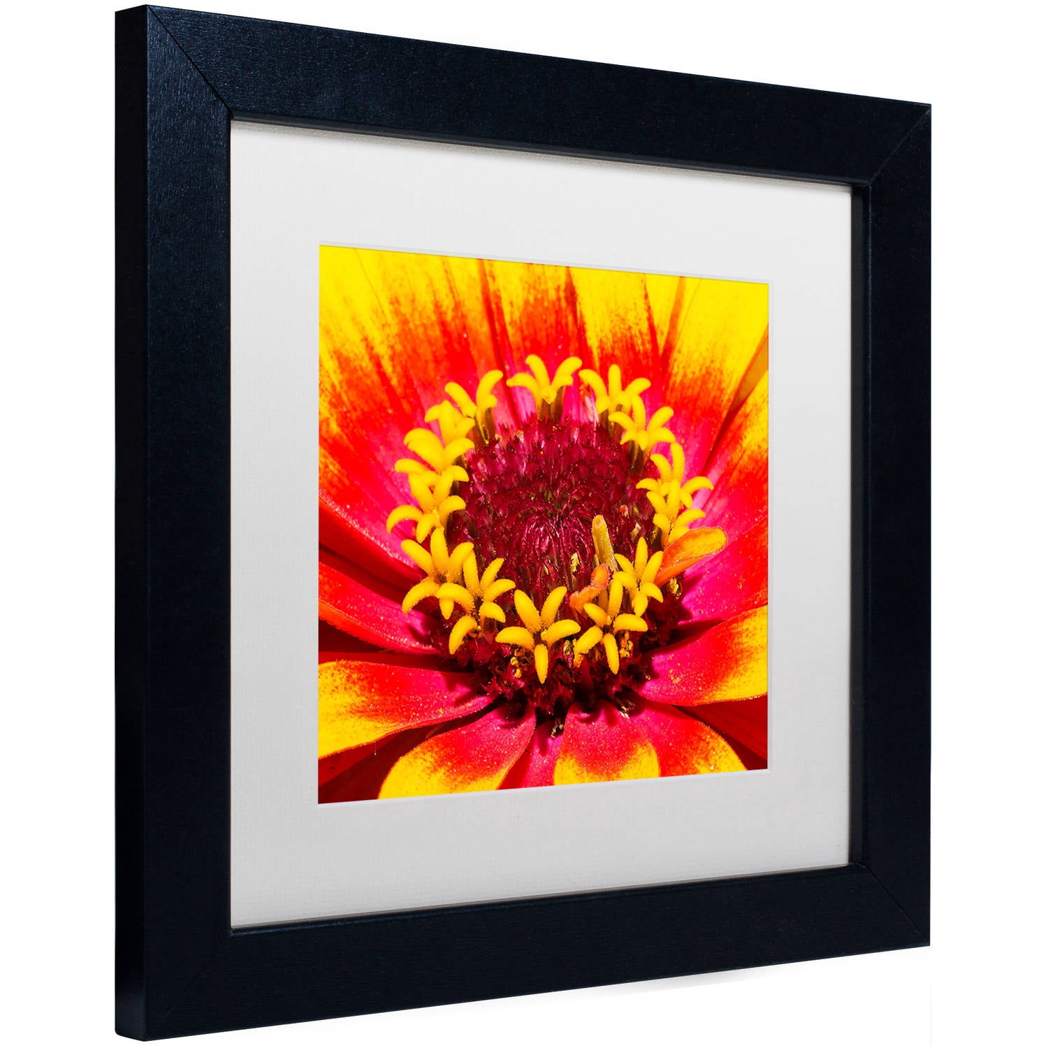Trademark Fine Art "Floral Mass Coronal Ejection" Canvas Art by Kurt Shaffer, White Matte, Black Frame