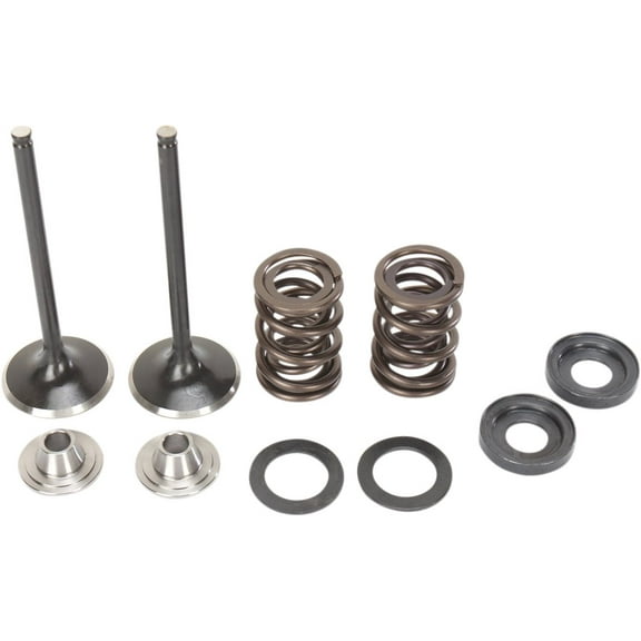 Moose Racing Stainless Exhaust Valve & Spring Kit (M96-96360)
