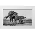 thumbnail image 1 of Chang, Phillip 18x12 White Modern Wood Framed Museum Art Print Titled - The family of elephants, 1 of 4