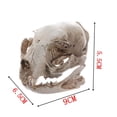 thumbnail image 3 of Esquirla Modèle de Crâne de Chat Réaliste, Artisanat Tête de Squelette d'Animal en Résine, Archéologie, 3 of 8