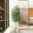 thumbnail image 6 of 7 ft Faux Ficus Plant in Large White Planter, Artificial Ficus Tree in Pot, Perfect Home Décor, 6 of 9