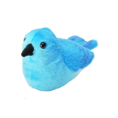 Audubon Mountain Bluebird