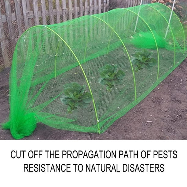 Filet de protection contre les insectes pour plantes potagères de