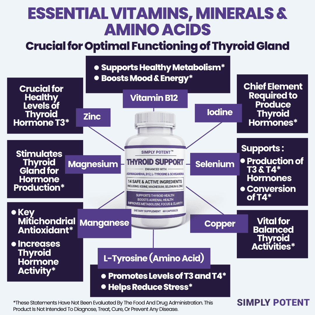Simply Potents Thyroid Support Supplement with Ashwagandha & Iodine, 60 Capsules