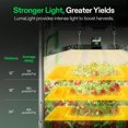 thumbnail image 3 of VIVOSUN LumaLight LED Grow Light, Full Spectrum Plant Light, 200W Smart Dimmable & High PPFD for Indoor Plants Seedling Vegetables Bloom, 3 of 9