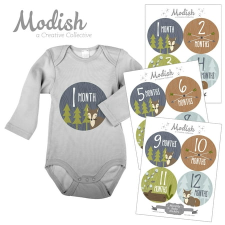 Modish Monthly Baby Stickers, Boy, Woodland Animals, Fox, Baby Photo Prop, Baby Shower Gift, Baby Book (Best Baby Boy Photos)