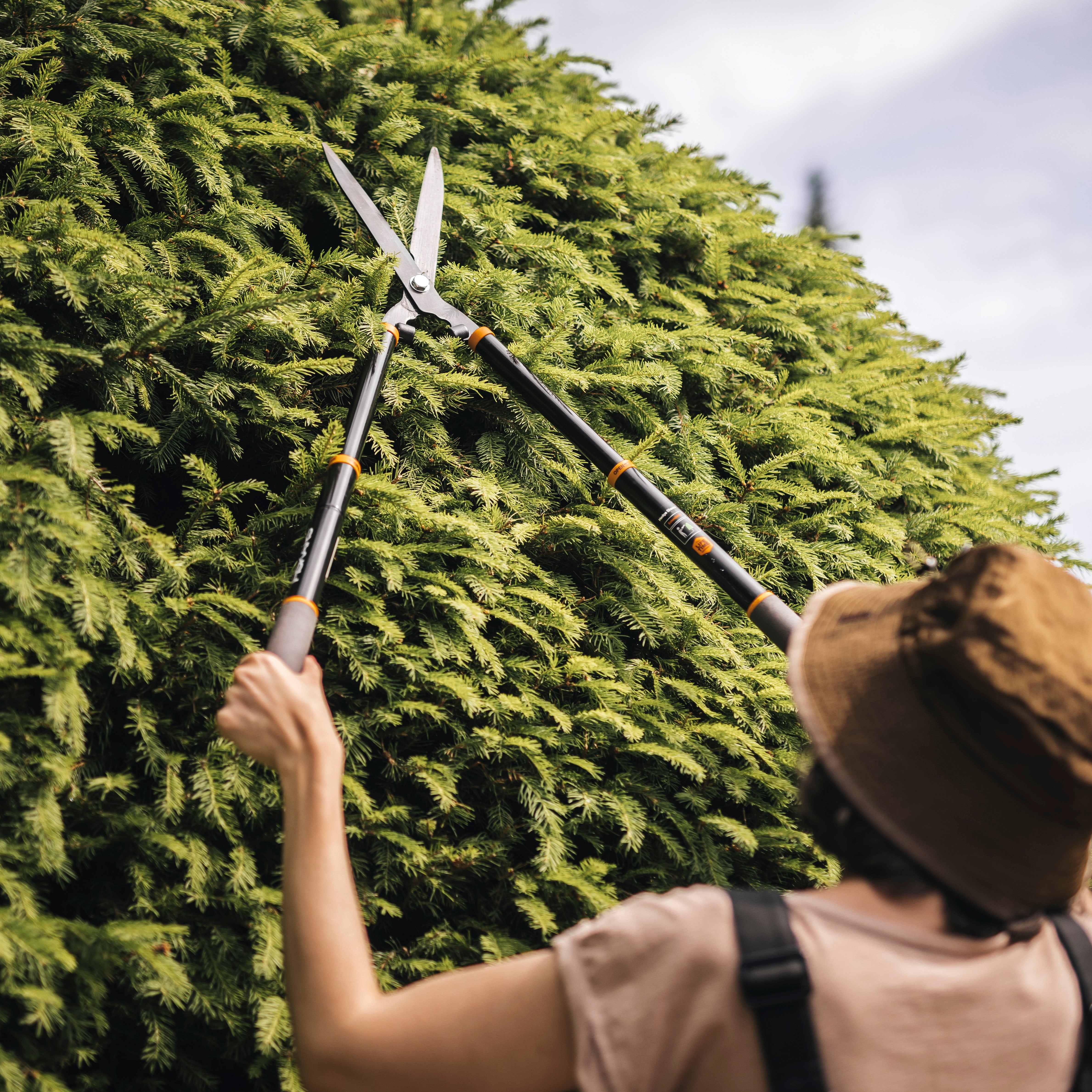 フィッシャーGX4　160cm jaguar-silver-line-cj4-plus-