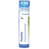 Boiron Pulsatilla 6C, Homeopathic Medicine for Cold With Thick Yellow Discharge, 80 Pellets