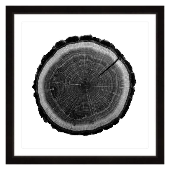 "Log" Framed Painting Print