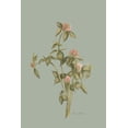 thumbnail image 2 of Murdock, Ramona 11x14 White Modern Wood Framed Museum Art Print Titled - Wild Clover, 2 of 4
