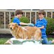 thumbnail image 5 of Cepillo de masaje de baño para mascotas, gran peine de aseo compatible con masaje y champú para perros, gatos, animales pequeños con corto Afortunado Sencillez, 5 of 5