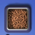 thumbnail image 4 of Roman Column Stainless Steel Pet Bowl With Removable Inner Bowl And Non-s Lip Base, 4 of 5