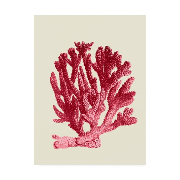 Trademark Fine Art 'Red Corals 1 a' Canvas Art by Fab Funky