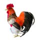 thumbnail image 3 of Modelo de simulación de gallo, figura de gallo falso, accesorio para fotografía al aire libre Multicolor, 3 of 9