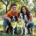 thumbnail image 3 of Dog Bandana 1 Pack,Green Yellow Dandelion Pattern Bandanas for Dogs,Cat Bandana,Small/ Large Dog Bandana 2 Size,Dog Bandanas Girl Boy, 3 of 6