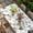 White, variant on Cartoon Tractor Table Cloths for 3 Foot Rectangle Tables, Cute Digger Shovel Truck Car Khaki Patio Waterproof Elastic Fitted Tablecloths, Washable Rectangular Table Cover for Camping