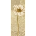 thumbnail image 2 of Gladding, Pamela 8x14 Gold Ornate Wood Framed with Double Matting Museum Art Print Titled - Soft Bloom Panel I, 2 of 4
