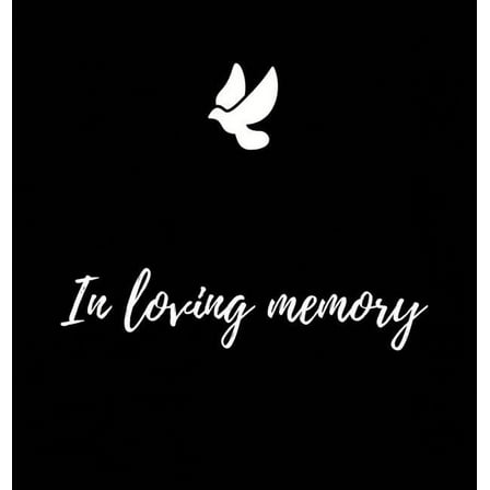 Memorial Guest Book (Hardback cover): Memory book, comments book, condolence book for funeral, remembrance, celebration , (Hardcover)
