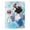 Red Apple, variant on Disney Villains Blanket Portraits of Evil Super Plush Throw 46" x 60"