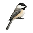 thumbnail image 3 of Lucahom Wooden Bird Door Topper, Adorable Bird Shape Corner Decor, Handcrafted Collection for Doorways, Shelves & Frame Corners, Gift for Nature & Birds Lovers, 3 of 6