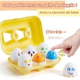 thumbnail image 3 of Juguetes Didacticos para Niños,Huevos Sorpresa de Juguetes, Color Educativo y Forma, Juguetes didacticos 6 Piezas Juguetes de Estudio, 3 of 7