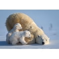 thumbnail image 2 of Tsui, Hung 32x23 White Modern Wood Framed Museum Art Print Titled - Mum-Play Together, 2 of 4