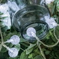 thumbnail image 2 of 100 LED 49 FT Globe Ball String Lights Crystal Bubble Ball Fairy String Lights Plug in with Remote 8 Modes Extendable for Indoor Outdoor Wedding Christmas Tree Garden Decor&nbsp;, 2 of 7
