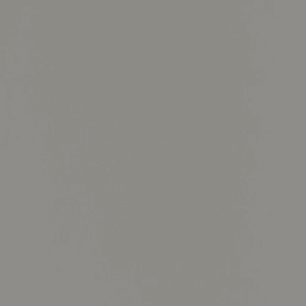 Sorelle 148 Toddler Rail, Grey (fits Annie Elite, Berkley, Bridgeport, Fairview, Glendale, Madrid, and Palisades Cribs)