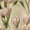 Color 1, variant on Peel and Stick Wallpaper Vintage Watercolor Tulips Botanical Art Ink Detailing Wall Mural 23.6in x 9.8ft Self Adhesive Removable Renter Friendly Wall Paper Decor for Walls Cabinets Home