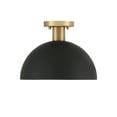 thumbnail image 4 of Trade Winds Hazel 1-Light Ceiling Light in Matte Black with Natural Brass, 4 of 4