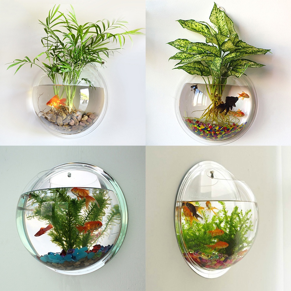 Wallmounted fish tank