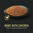 thumbnail image 5 of Purina Pro Plan Grain Free Wet Puppy Food, Classic Chicken Entrée, 13 oz Can, 5 of 13