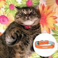 thumbnail image 3 of Collar de cuero para gato con hebilla, collar ajustable para mascotas pequeñas para gatitos, 3 of 5