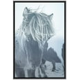 thumbnail image 3 of PixonSign Framed Canvas Print Wall Art Close-Up of Horse Walking Animals Wildlife Photography Modern Art Farmhouse/Country Ultra Blue and White for Living Room, Bedroom, Office - 16"x24" Black, 3 of 5