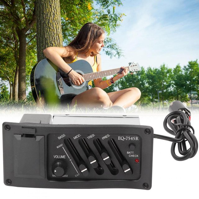 Accessoire Instrument Micro, Micro de Qualité Folk Universel Classique Micro de Guitare Universelle Caractéristiques de Pointe
