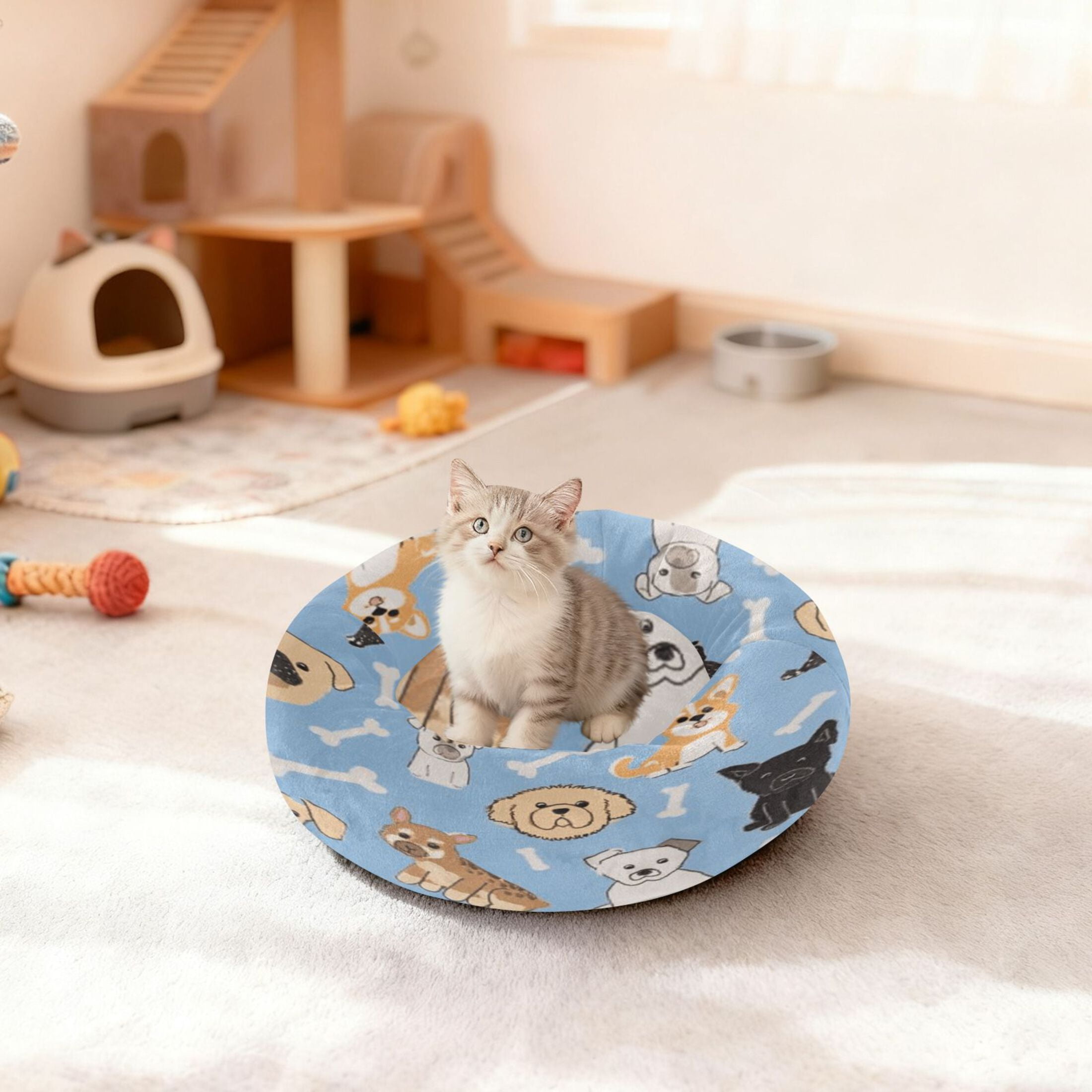 Iauyy Pet Couch Donut Cat Bed for Indoor Cats/Small Dogs Washable & Machine with Non-slip Bottom Calming Cat Furniture, Bone (M)