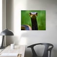 thumbnail image 3 of PIKWEEK Snake Canvas prints Wall Art Photography Poster Printing Living room Bedroom Pictures Wall Decoration 16x12in, 3 of 4