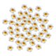 thumbnail image 5 of 50 piezas de accesorios de flores de plumeria artificiales, pasadores de pétalos para fiestas y hogar. Diámetro 6 cm, 5 of 8