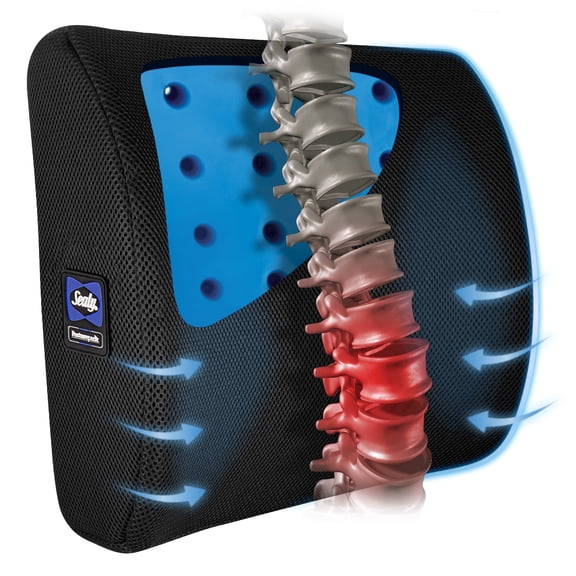 Sealy Posturepedic Memory Foam Infused Gel Ergonomic Backrests with One Back Support Cushion, Black